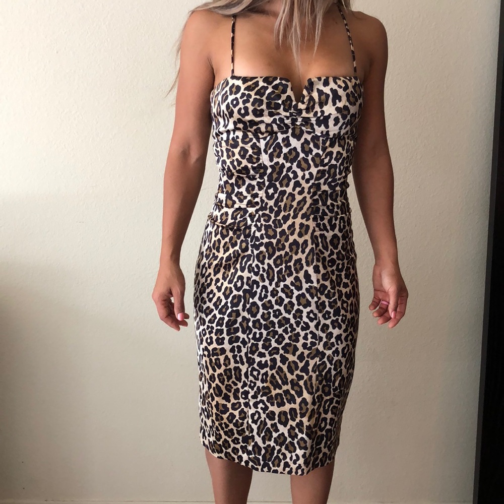 Sexy leopard midi dress by Cache size 8